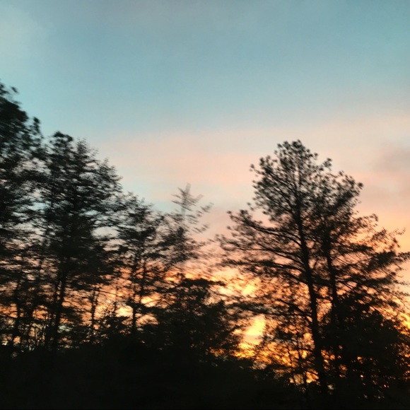 Meet your Posher, Amina - Picture 1 of 1